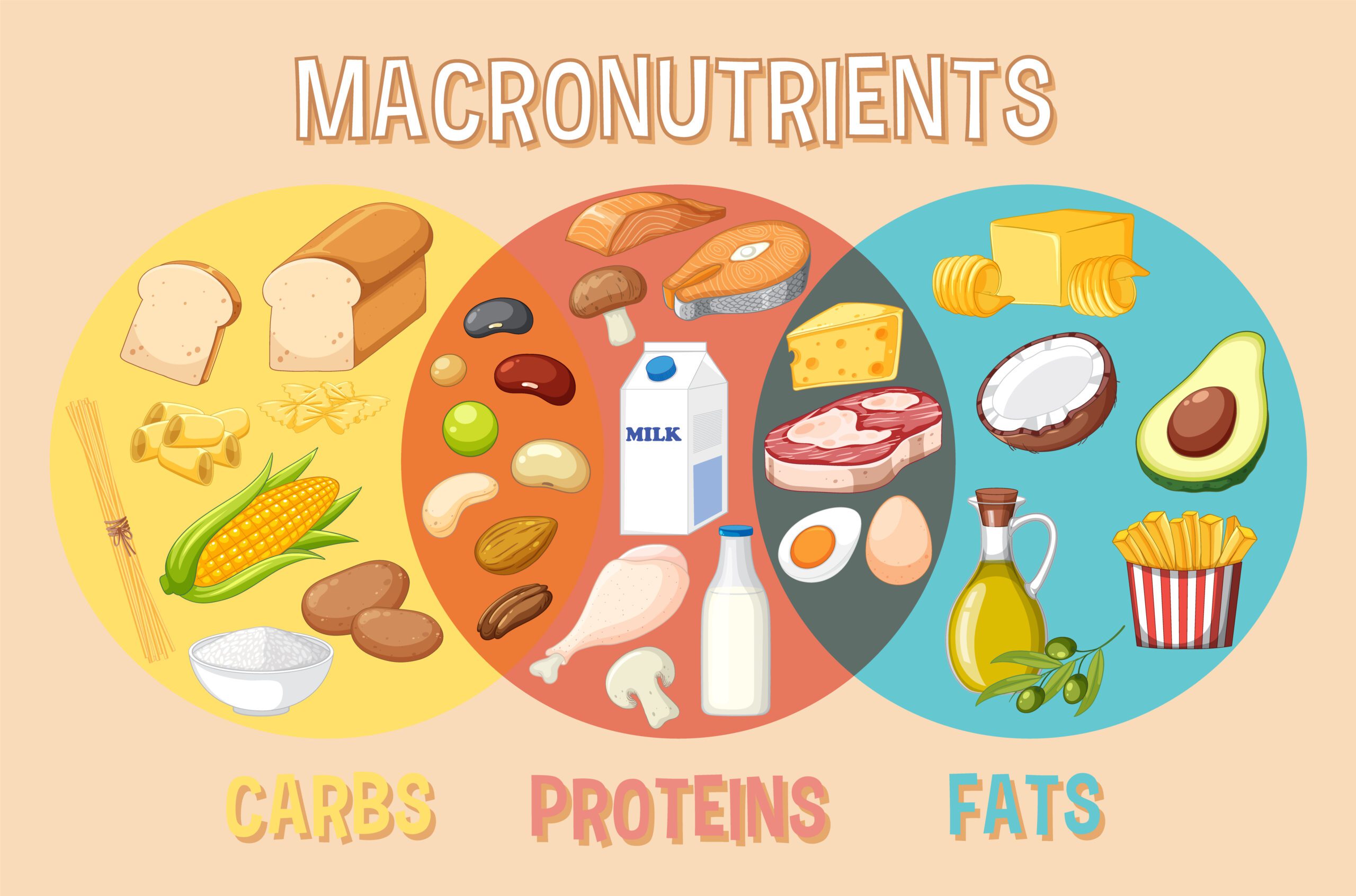 Comparison of macronutrients and micronutrients with examples like proteins, fats, vitamins, and minerals.