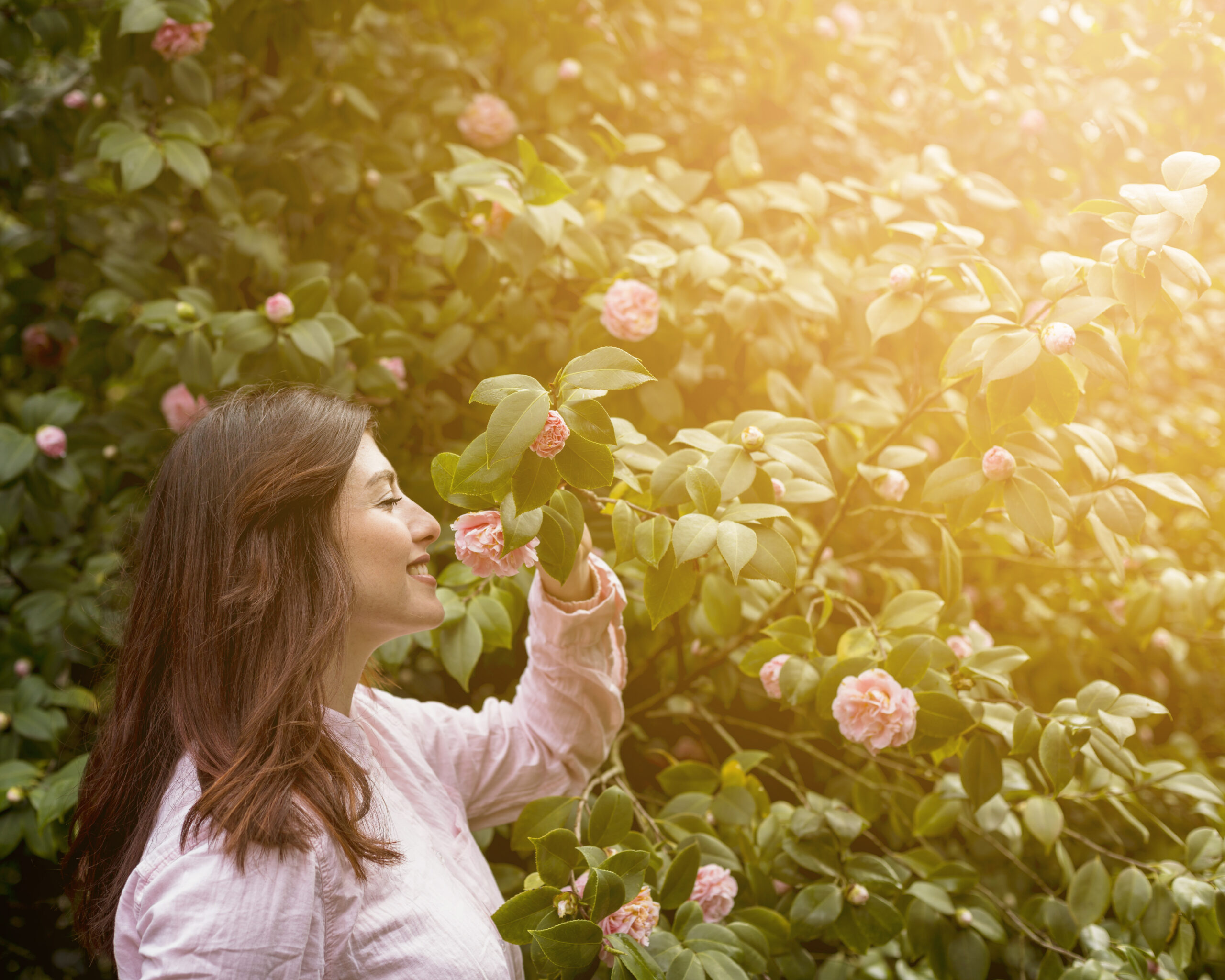 Best time for Vitamin D from sunlight