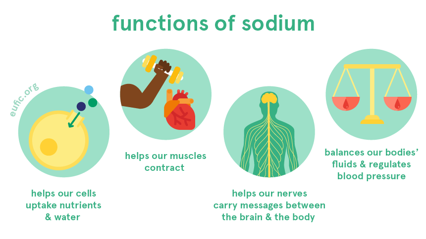 Infographic showing sodium’s role in regulating fluid balance, supporting nerve function, and muscle contraction.