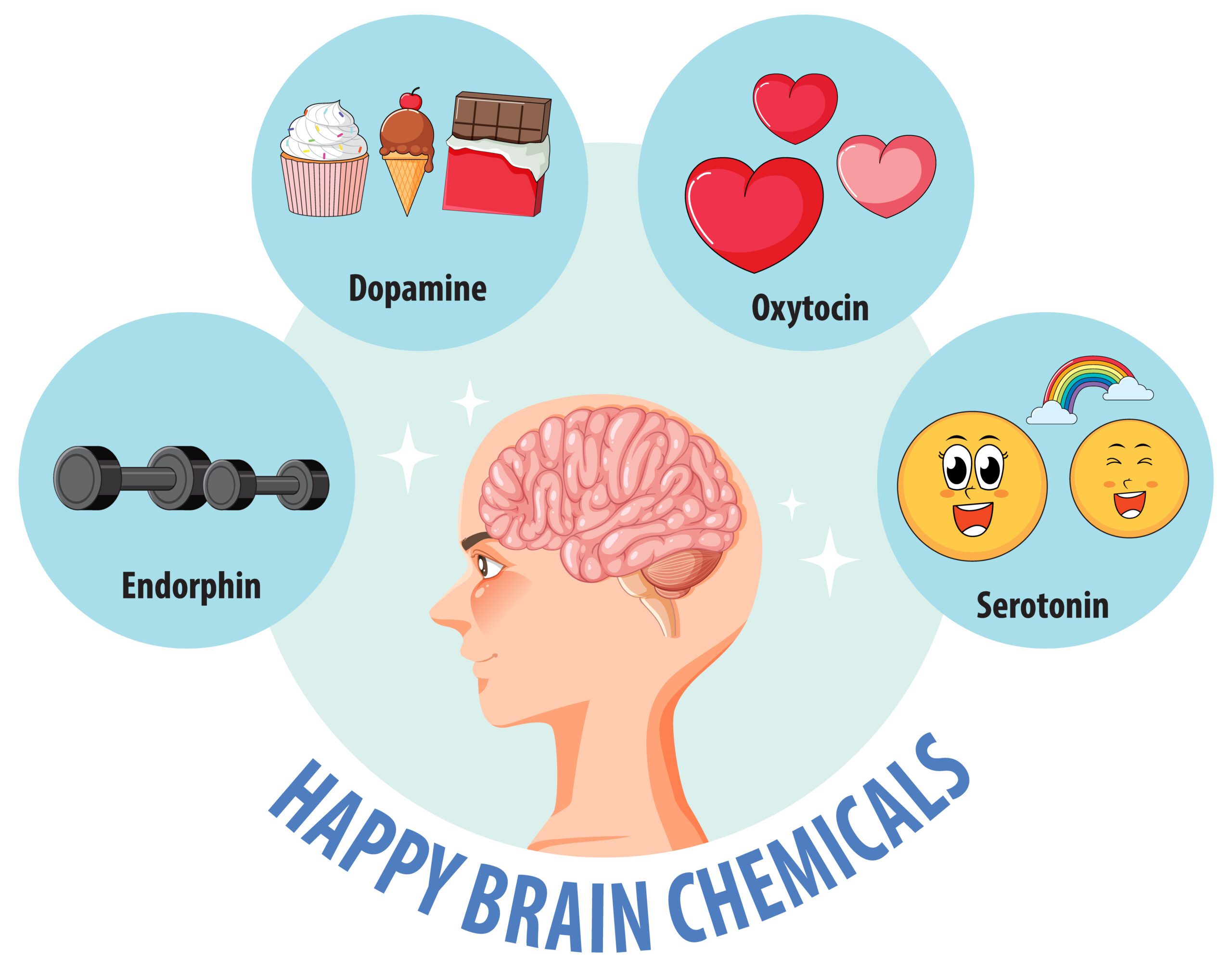 Brain illustration with serotonin molecules, highlighting the link between Vitamin D and mood regulation.